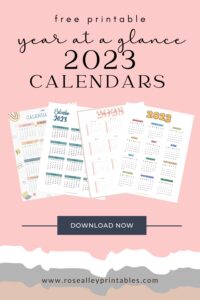 Free Printable 2023 Soft Pink Minimalist Year At A Glance Calendar